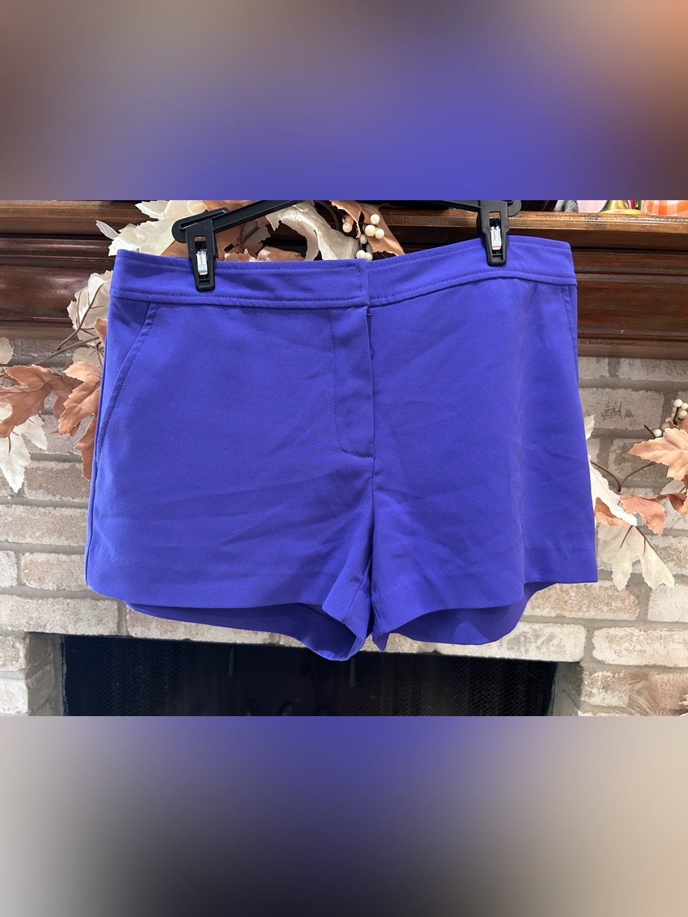 Trina Turk Purple Tailored Women's Shorts EUC